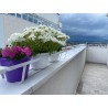 Suport de jardiniera metalic [la comanda cu livrare in toata tara]