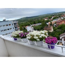 Suport de jardiniera metalic [la comanda cu livrare in toata tara]