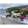 Suport de jardiniera metalic [la comanda cu livrare in toata tara]